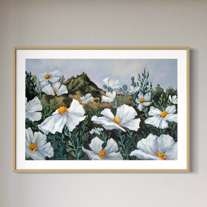 Matilija Poppies at Dusk with Bishop Peak