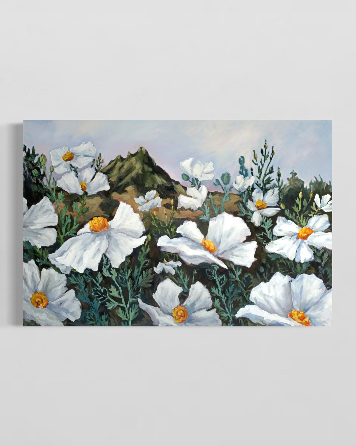 Matilija Poppies at Dusk with Bishop Peak