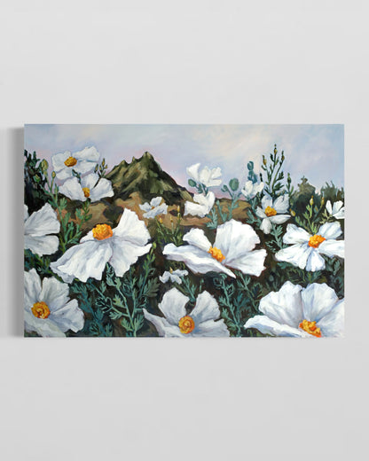 Matilija Poppies at Dusk with Bishop Peak