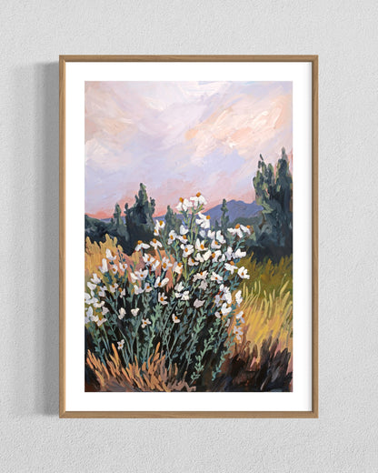 Paper Petals, Wild Roots