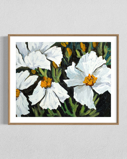 Weightless Reverie I