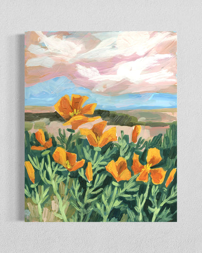 Golden Hour Poppies