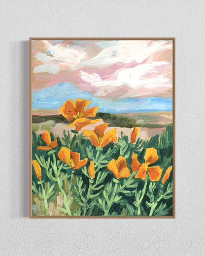 Golden Hour Poppies