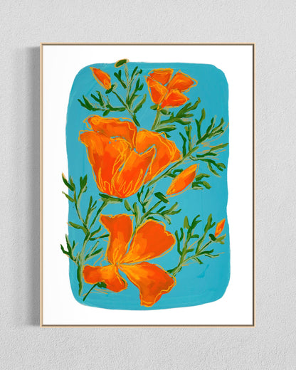 California Poppy II