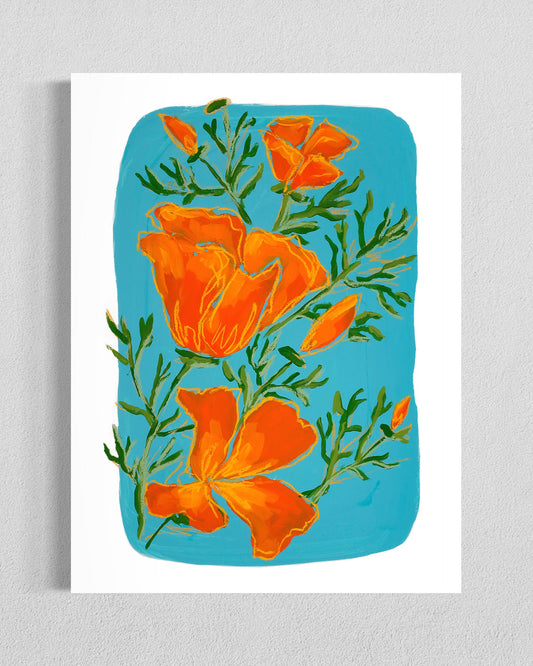California Poppy II