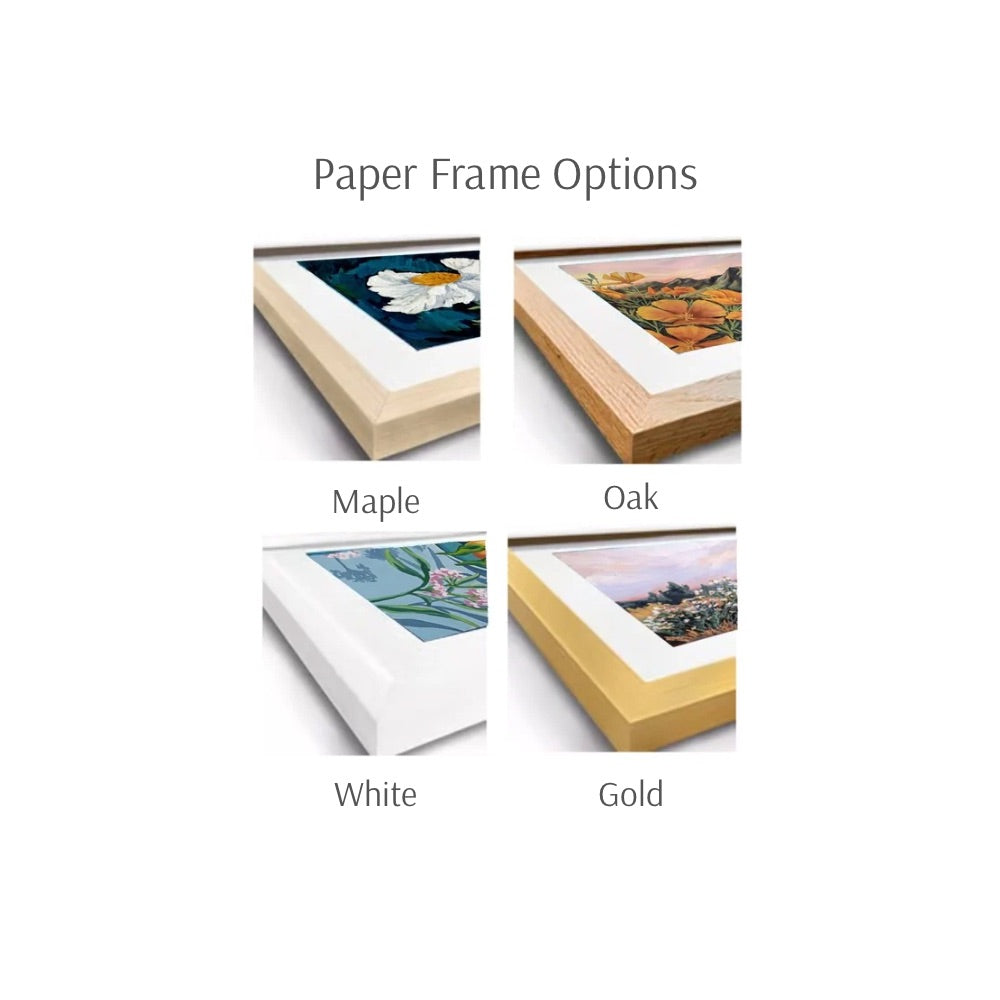 When The Poppies Linger