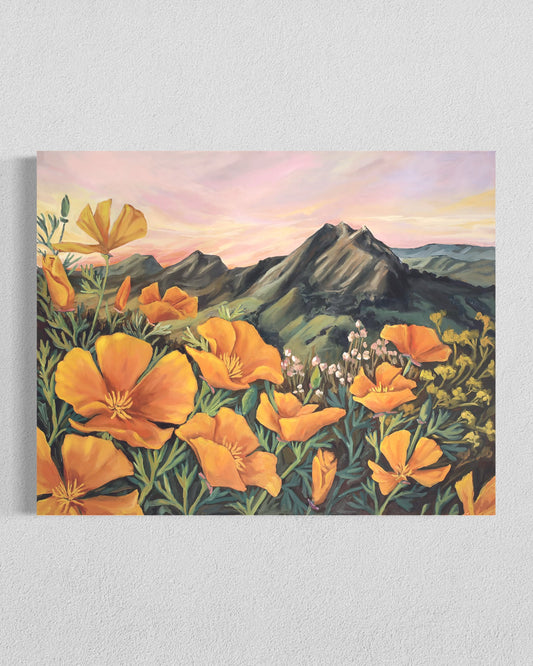 When The Poppies Linger