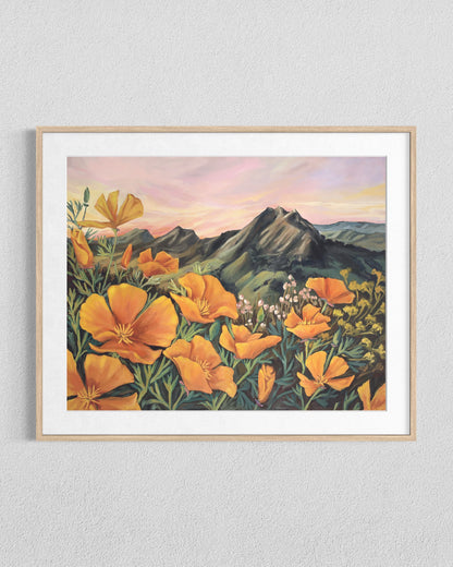 When The Poppies Linger